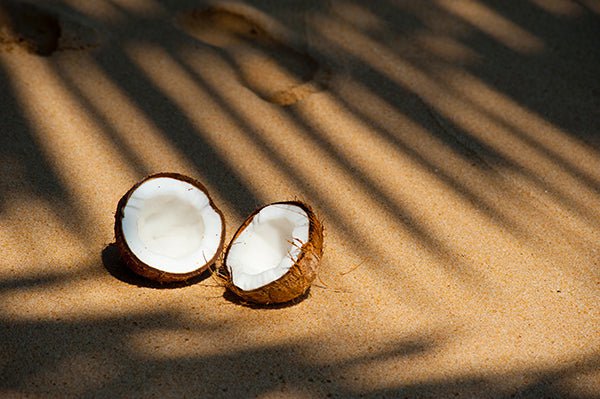 NIB Spotlight Coconut Oil - Alise Body Care