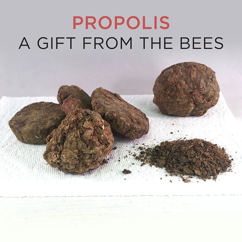 NIB Spotlight Propolis - Alise Body Care