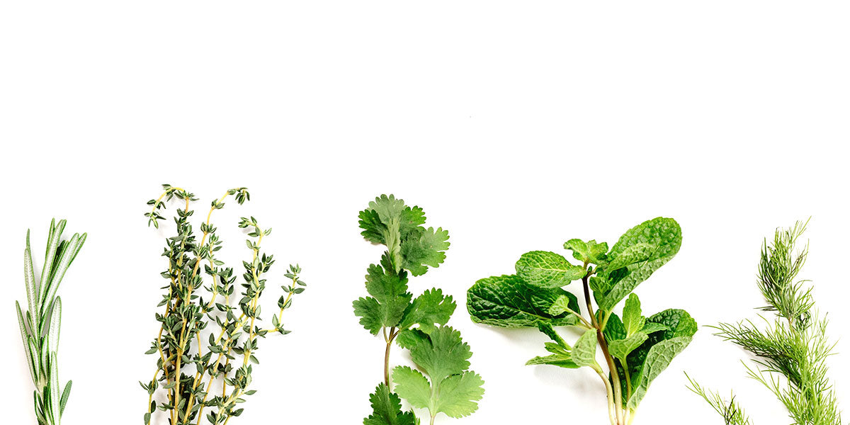 image-of-herbs-natures-gifts-are-our-ingredients-by-alise-body-care